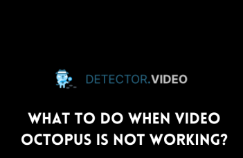 What To Do When Video Octopus Is Not Working?