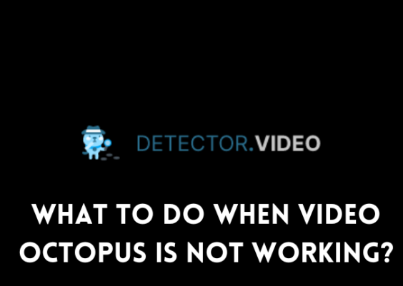 What To Do When Video Octopus Is Not Working?