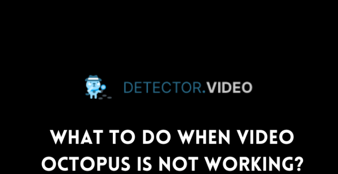 What To Do When Video Octopus Is Not Working?