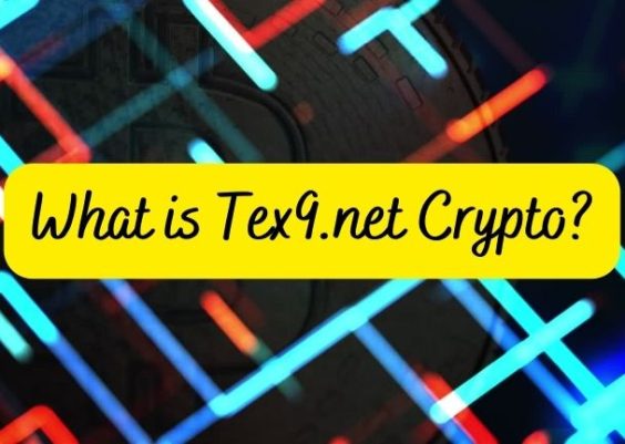What is Tex9.net Crypto? A Guide For You