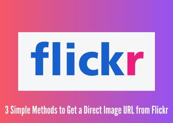 3 Simple Methods to Get a Direct Image URL from Flickr