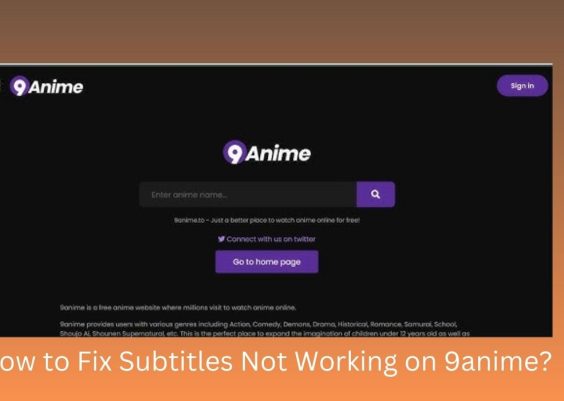 How to Fix Subtitles Not Working on 9anime?